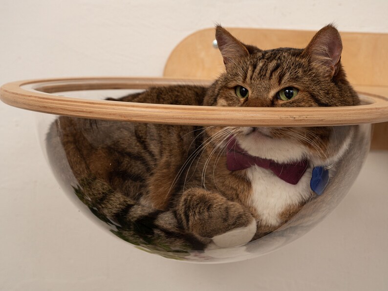 Custom Wooden Cat Furniture #09