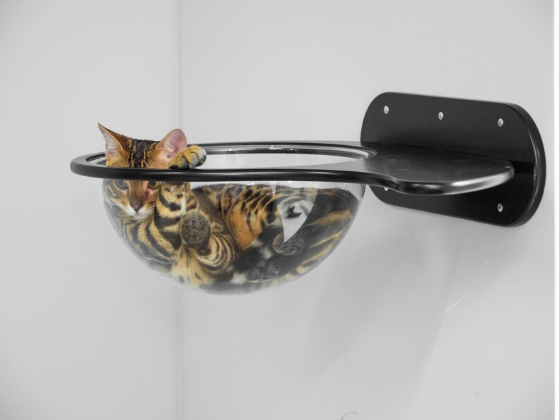 Custom Wooden Cat Furniture #11