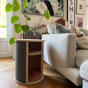 Custom Wooden Cat Furniture #12