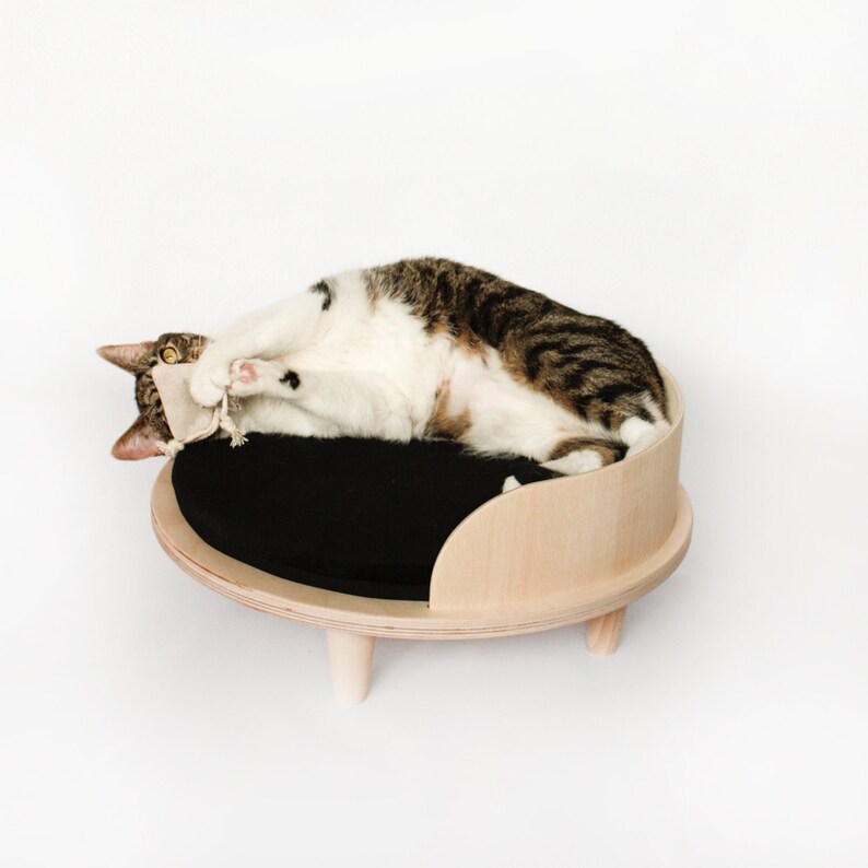 Custom Wooden Cat Furniture #18