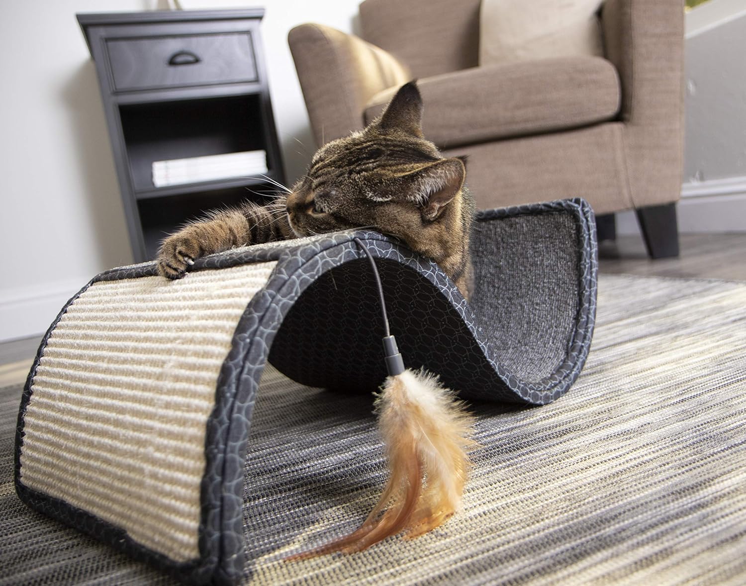 Custom Cat Toy Design #11