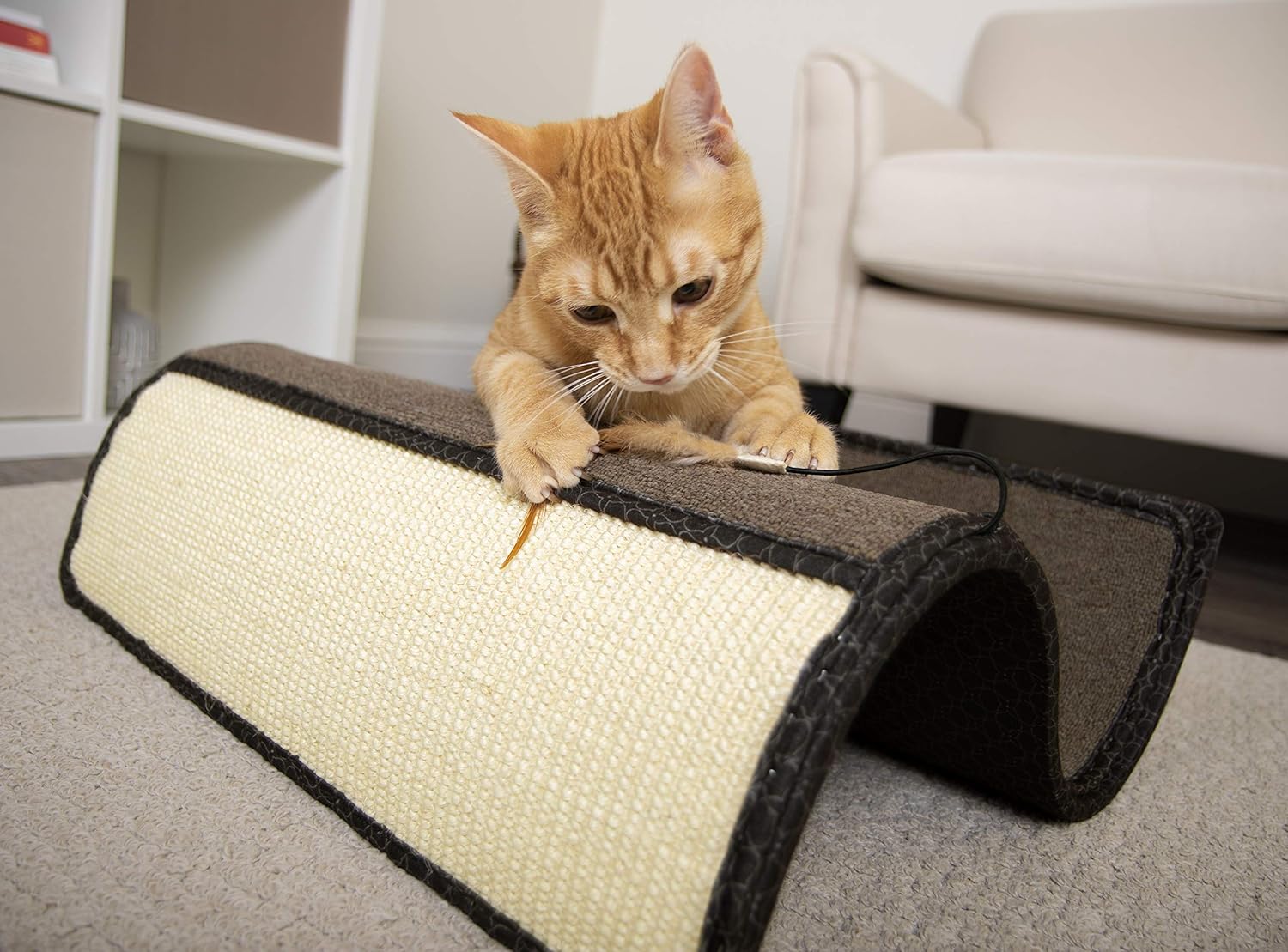 Custom Cat Toy Design #12