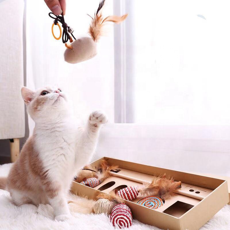 Custom Cat Toy Design #13